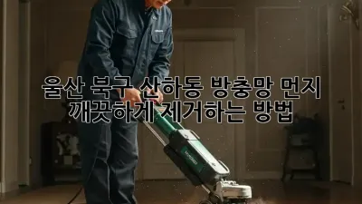 울산 북구 산하동 방충망 먼지, 깨끗하게 제거하는 방법